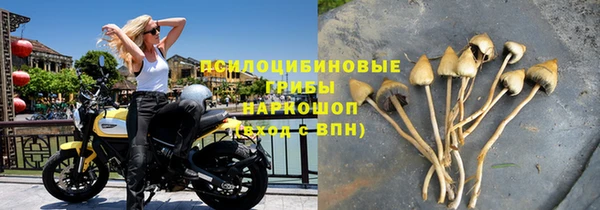 стаф Алексеевка