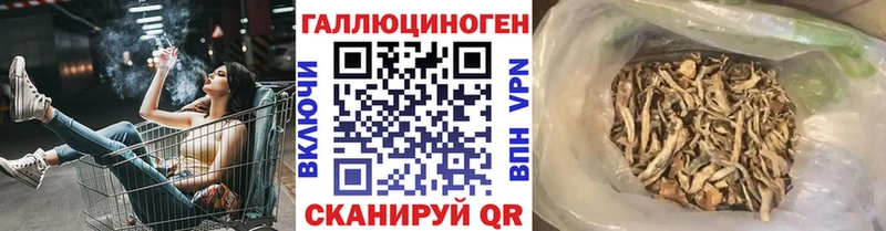 Купить закладки  Саки  Псилоцибиновые грибы Psilocybe 